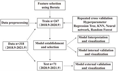 Muscle-related parameters-based machine learning model for predicting postinduction hypotension in patients undergoing colorectal tumor resection surgery